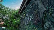Top Wayanad