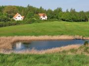 Top Srokowo Top Srokowo