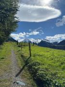 Top Wald im Pinzgau