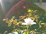 Top San Salvador de Jujuy