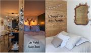 Le Petit Aupillon - LAupillon des Forêts - 2 studios cocooning aux Orres