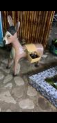 Guest House Iura