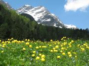 Top Matrei in Osttirol