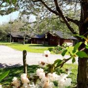 Vakantiepark Zwartemeer