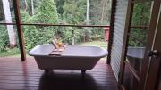 Eucalyptus Escape - Privacy in the Hinterland