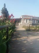 Top Nea Chili Top Nea Chili