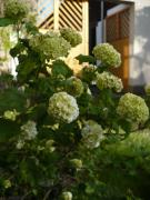 Top Jindrichuv Hradec