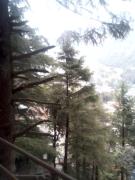 Himalayan Hostel Triund Trekking Hostel