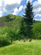 Top Baligród Top Baligród