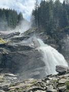 Top Wald im Pinzgau