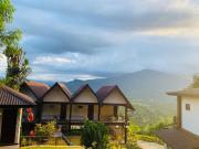 Terrace Cinnamon View