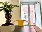 Cruz Central apartment 1