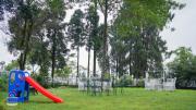 Top Mirik