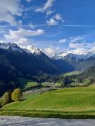 Top Wald im Pinzgau