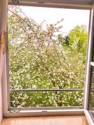 Top Börgerende-Rethwisch