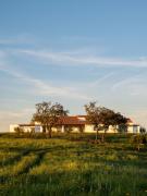 Casa Vale da Rosa- August checkins and checkouts on Sundays