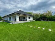 Top Săftica Top Săftica