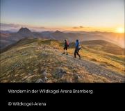 Top Wald im Pinzgau