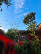 Top Beijing