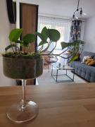 Top Ustrzyki Dolne Top Ustrzyki Dolne