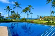 Manualoha 901 Minutes to Poipu
