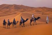 Top Merzouga Top Merzouga