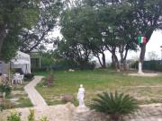 Top Colonnella Top Colonnella