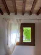 Top Rosolina