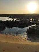 Top Les Sables Vignier