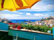 Top Câmara de Lobos