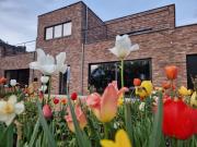 Sous la Houlette, 3 Suites, Pool and Sauna on demand