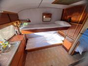 A Night at the Museum Vintage Glamping