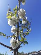 Noctua Villam GuestHouse