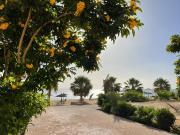 One bedroom in the view