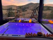 Wild nest Zlatibor Bear