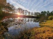 Top Saint-Saud-Lacoussière