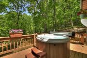 Top Ellijay