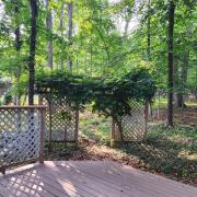 Top Massanutten Top Massanutten