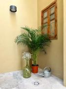 El Rincón de María Vicenta