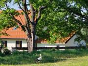 Top Zawady Top Zawady