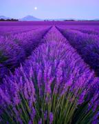 Top Sainte-Croix-de-Verdon