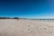 Top Siesta Key
