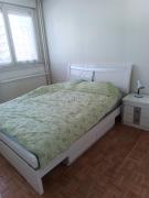 La Défense Dauphins