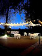 Top Pińczów Top Pińczów