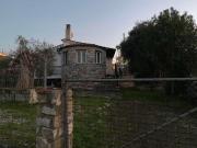 Villa Reni Villa Reni