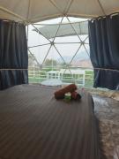 ม่อนหมอกฟ้า ม่อนแจ่ม