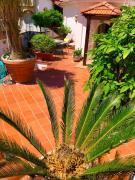 Top Piano di Sorrento