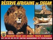 Top Saint Pierre La Mer