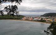 Top Ladrido