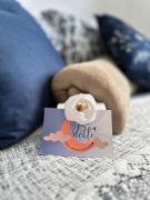 NEW JAZZ Barra Funda